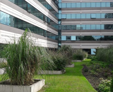 Jardin ext. 1